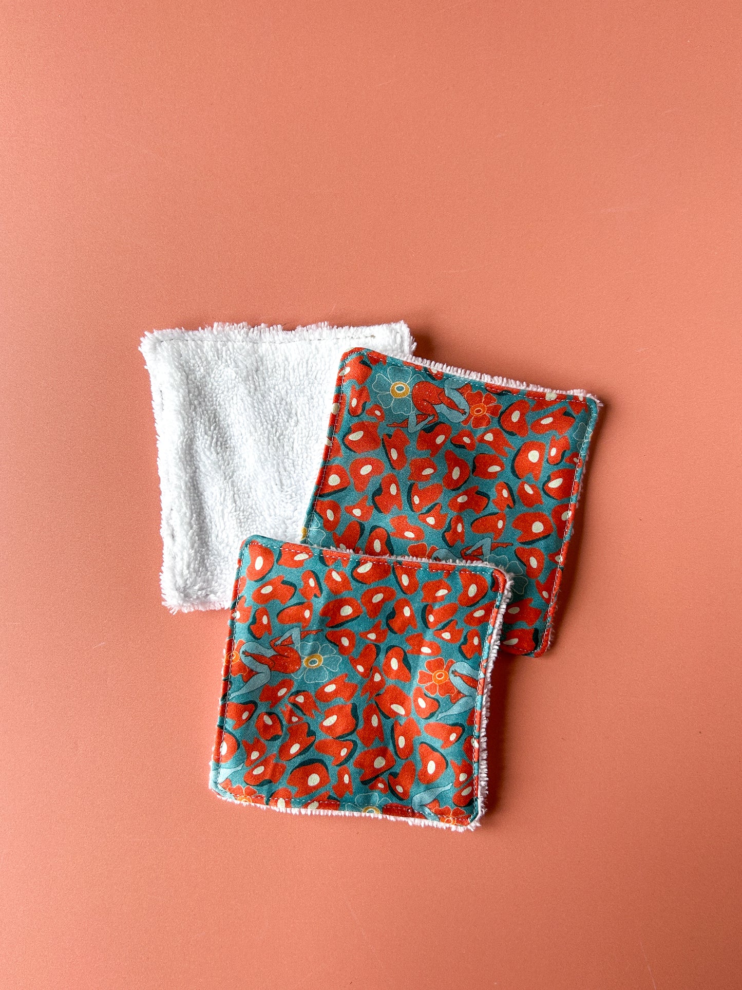 Duo Les Claires et Nette – La Florissante